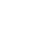 Human Calculator
