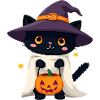 Halloween Cat with Halloween Pumpkin
