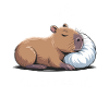 Sleepybara Capybara Sleeping