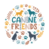 Canine friendships in a circle