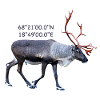 abisko