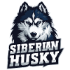 Siberian Husky Dog – Hunde Portrait