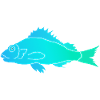Fisch mit Zackenflosse
