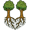 Rooted Together