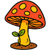 Champignons et germes