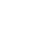 Bier
