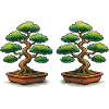 Double Bonsai Twins