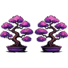 Double Sakura Bonsai