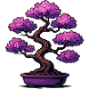 Bonsai Cherry Blossoms Purple
