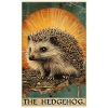 Hedgehog