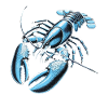 Crabe bleu façon homard