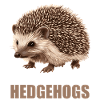 Hérisson