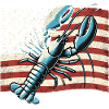 Homard devant le drapeau américain