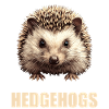Hedgehog