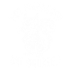 Undiagnosed – Squirrel