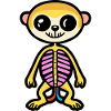 Meerkat Halloween Zombie