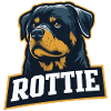Rottie – Strong Rottweiler Portrait