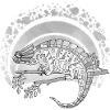 Caméléon