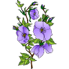Fleur