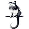 Emperor tamarin