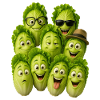Laughing Lettuce Troop