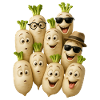 Happy Radish Characters