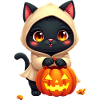 Halloween Cat with Halloween Pumpkin