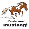 Cheval sauvage d'Amerique (pour textiles clairs)