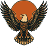 Eagle at sunrise