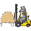 Lustiges Zebra Staplerfahrer Spaghetti Italienisch
