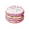 Macaron French Desserts