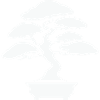 Zen Bonsai Silhouette