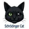 Chat Schrödinger