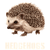 Hedgehog