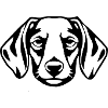 Dachshund Dog T-shirt Gift