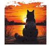 CAT SUNSET