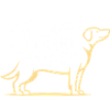 Dog School Dog Lover Dog Trainer