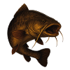 Large Catfish Fishing Motif