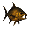 Majestic fish in the water