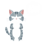 Nö! Lustige Katze Mit Spruch