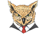 What did you not understand?! – Funny Owl