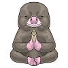 Mole Yoga Fitness Meditation