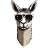 Llama with sunglasses