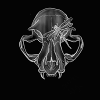 Boar Skull Dragonfly Line Art