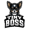 Small dog, big personality