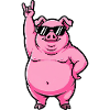 Cool Pig Musician Guitarist Rock Festival