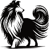 Cool Collie Silhouette Design