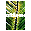 patience