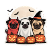 Carlin Halloween Costume Drôle Citrouille Cadeau