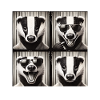 Badger Sunglasses Collage